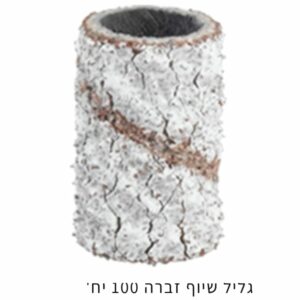 גליל שיוף זברה 100 יח FINE